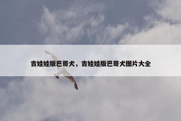 吉娃娃版巴哥犬，吉娃娃版巴哥犬图片大全