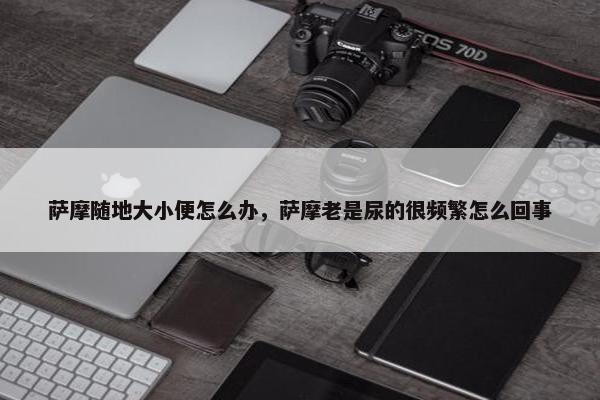 萨摩随地大小便怎么办，萨摩老是尿的很频繁怎么回事