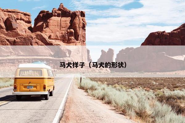 马犬样子（马犬的形状）