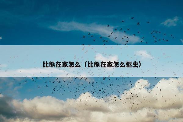 比熊在家怎么（比熊在家怎么驱虫）