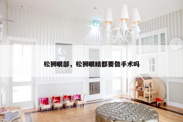 松狮眼部，松狮眼睛都要做手术吗
