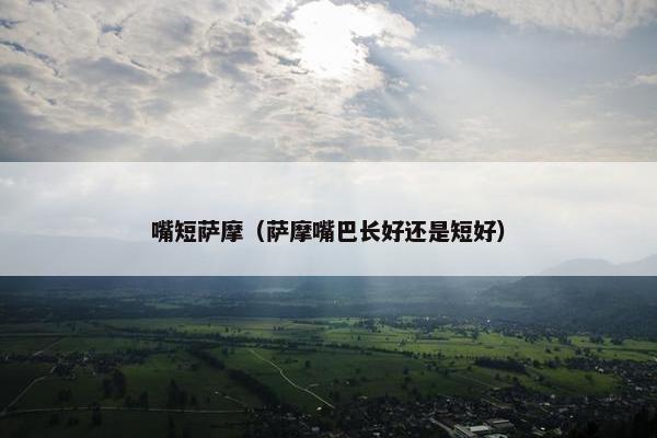 嘴短萨摩（萨摩嘴巴长好还是短好）