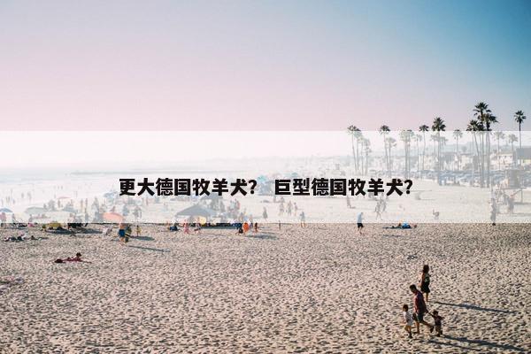 更大德国牧羊犬？ 巨型德国牧羊犬？