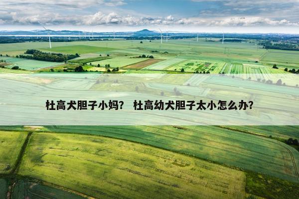杜高犬胆子小妈？ 杜高幼犬胆子太小怎么办？