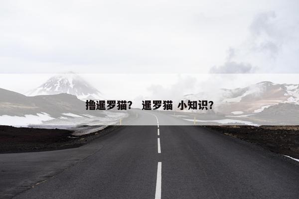 撸暹罗猫？ 暹罗猫 小知识？
