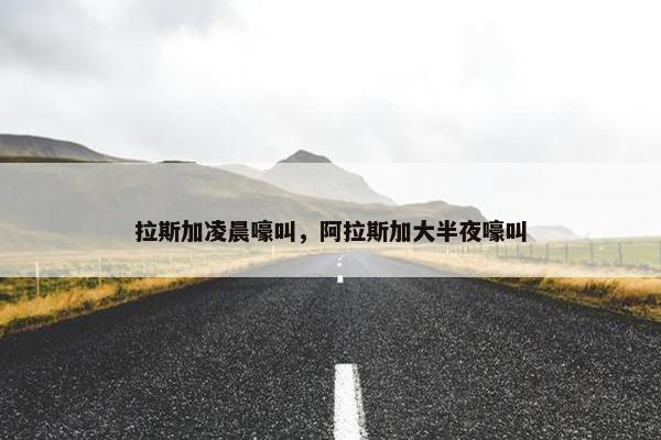 拉斯加凌晨嚎叫，阿拉斯加大半夜嚎叫