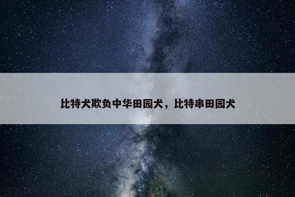 比特犬欺负中华田园犬，比特串田园犬