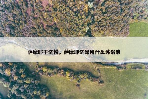 萨摩耶干洗粉，萨摩耶洗澡用什么沐浴液