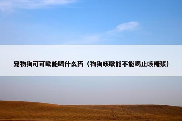 宠物狗可可嗽能喝什么药（狗狗咳嗽能不能喝止咳糖浆）