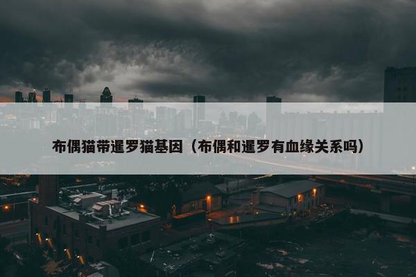 布偶猫带暹罗猫基因（布偶和暹罗有血缘关系吗）