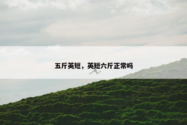 五斤英短，英短六斤正常吗