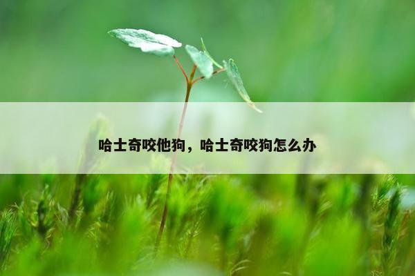 哈士奇咬他狗，哈士奇咬狗怎么办