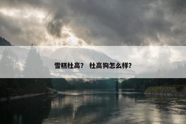 雪糕杜高？ 杜高狗怎么样？