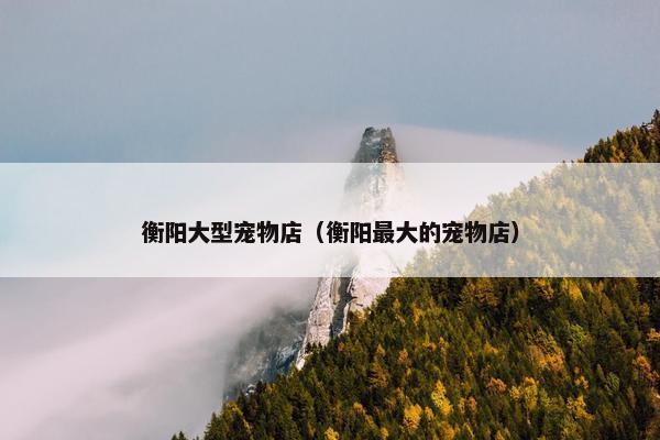 衡阳大型宠物店（衡阳最大的宠物店）