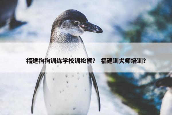 福建狗狗训练学校训松狮？ 福建训犬师培训？