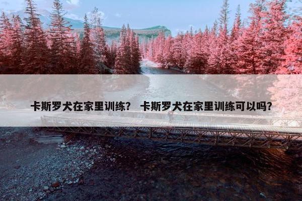 卡斯罗犬在家里训练？ 卡斯罗犬在家里训练可以吗？
