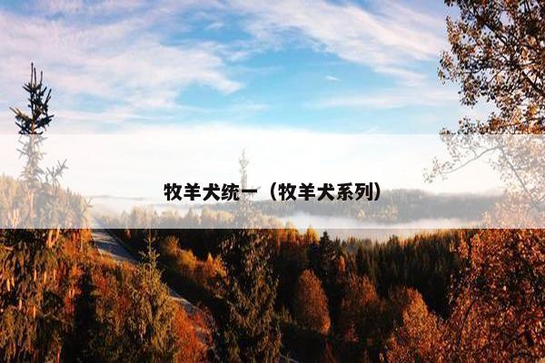 牧羊犬统一（牧羊犬系列）