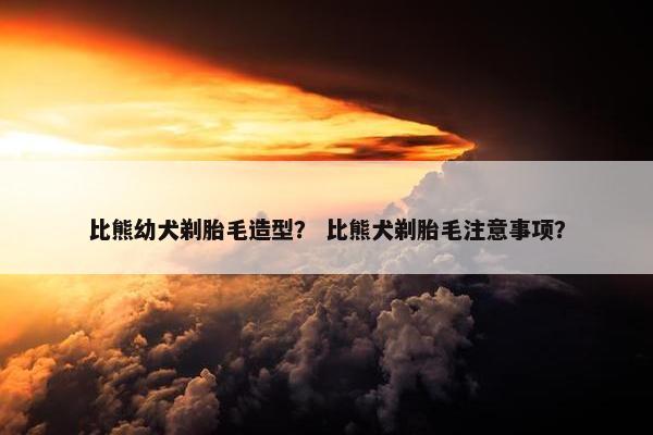 比熊幼犬剃胎毛造型？ 比熊犬剃胎毛注意事项？