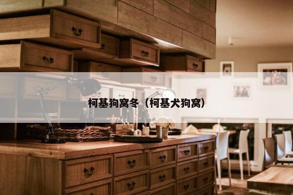 柯基狗窝冬（柯基犬狗窝）
