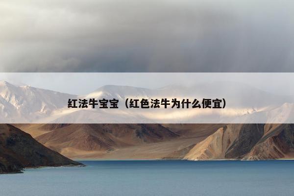 红法牛宝宝（红色法牛为什么便宜）