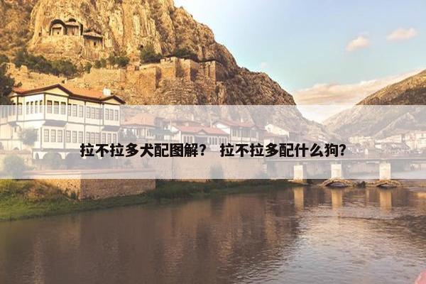 拉不拉多犬配图解？ 拉不拉多配什么狗？