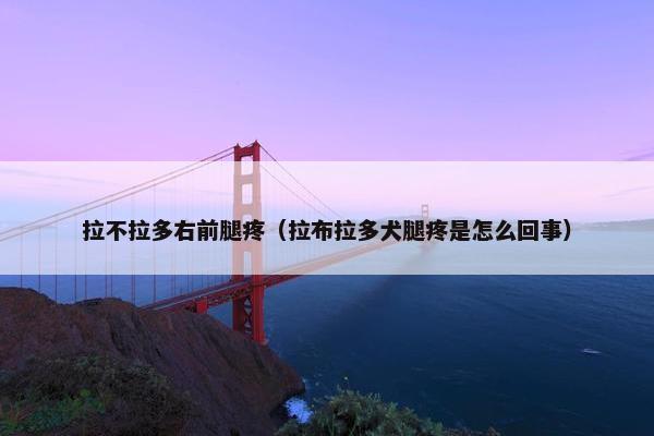 拉不拉多右前腿疼（拉布拉多犬腿疼是怎么回事）