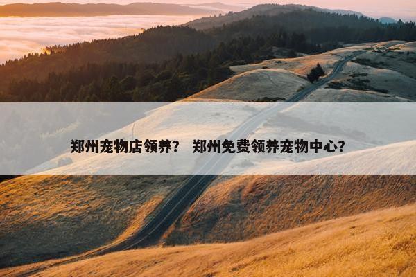 郑州宠物店领养？ 郑州免费领养宠物中心？