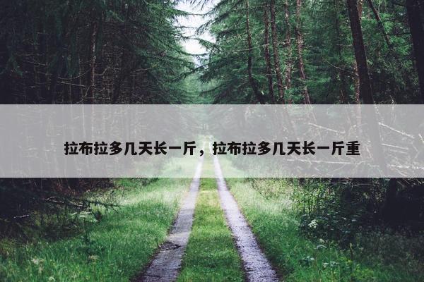 拉布拉多几天长一斤，拉布拉多几天长一斤重