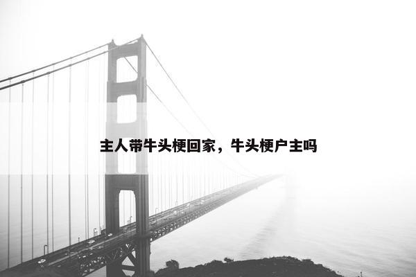 主人带牛头梗回家，牛头梗户主吗