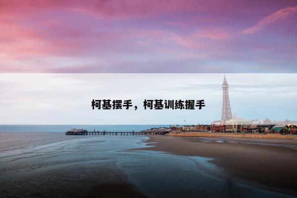 柯基摆手，柯基训练握手