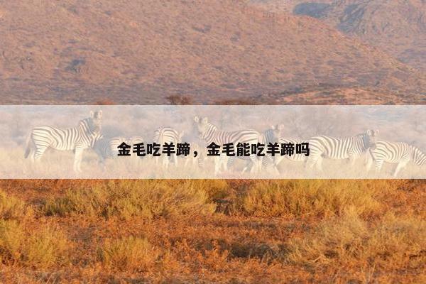 金毛吃羊蹄，金毛能吃羊蹄吗
