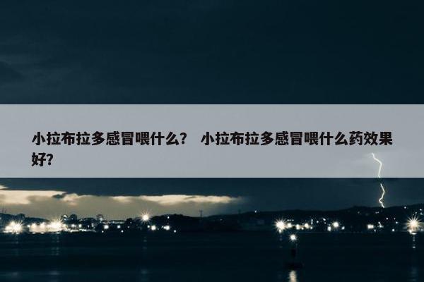 小拉布拉多感冒喂什么？ 小拉布拉多感冒喂什么药效果好？