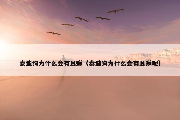 泰迪狗为什么会有耳螨（泰迪狗为什么会有耳螨呢）