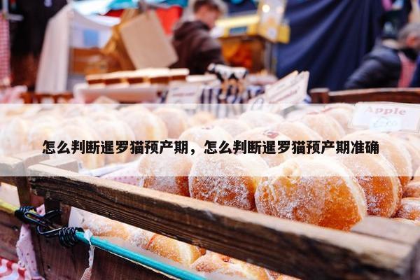 怎么判断暹罗猫预产期，怎么判断暹罗猫预产期准确