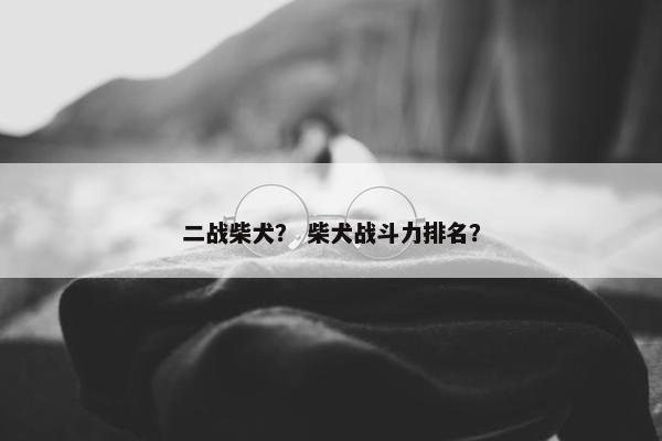 二战柴犬？ 柴犬战斗力排名？