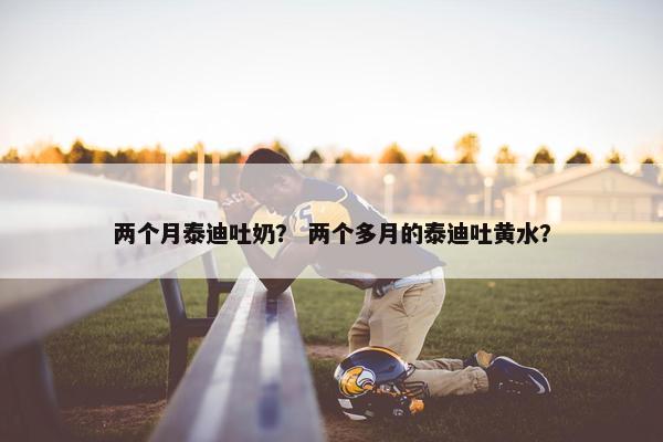 两个月泰迪吐奶？ 两个多月的泰迪吐黄水？