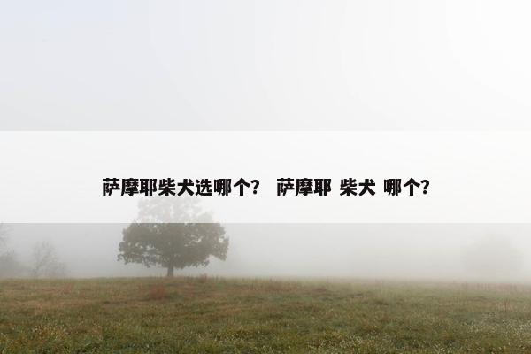 萨摩耶柴犬选哪个？ 萨摩耶 柴犬 哪个？