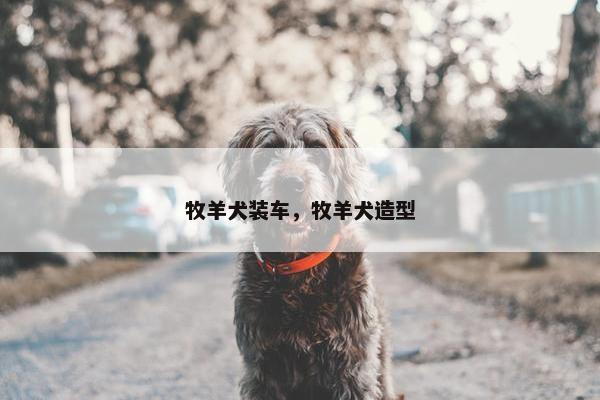 牧羊犬装车，牧羊犬造型