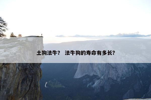 土狗法牛？ 法牛狗的寿命有多长？