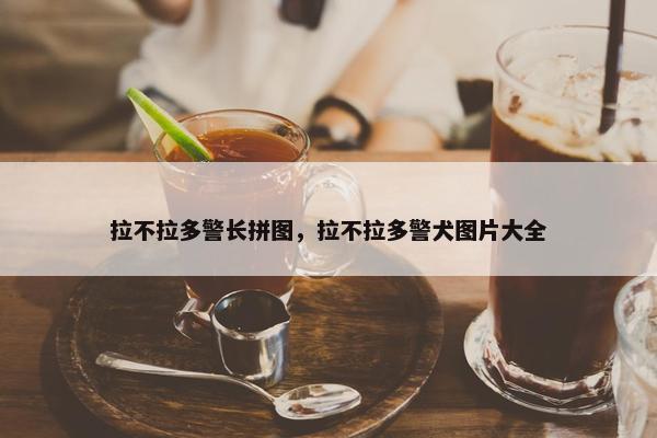 拉不拉多警长拼图，拉不拉多警犬图片大全