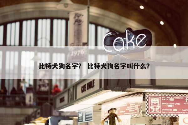 比特犬狗名字？ 比特犬狗名字叫什么？