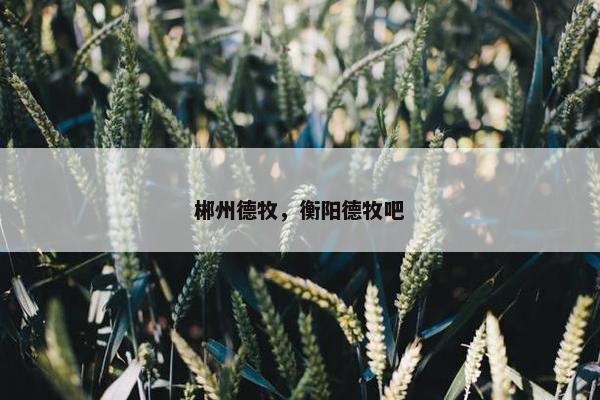 郴州德牧，衡阳德牧吧
