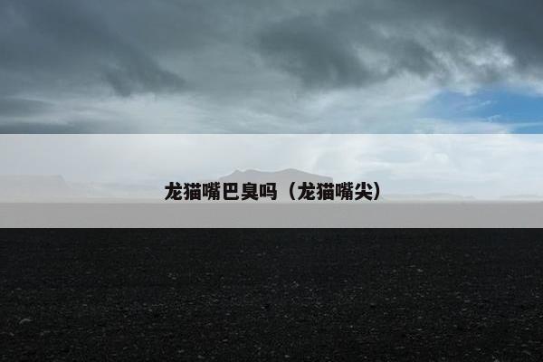 龙猫嘴巴臭吗（龙猫嘴尖）