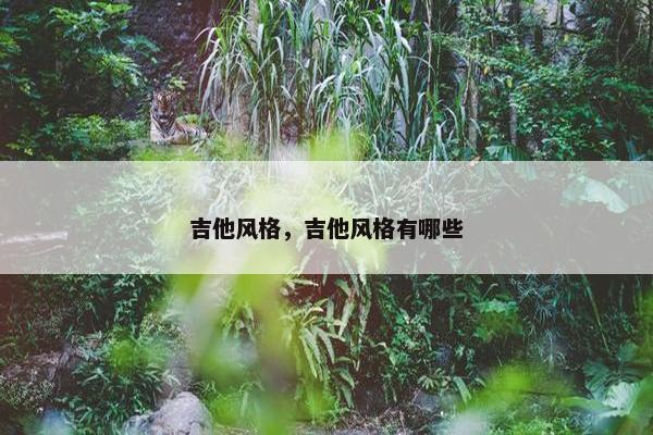 吉他风格，吉他风格有哪些