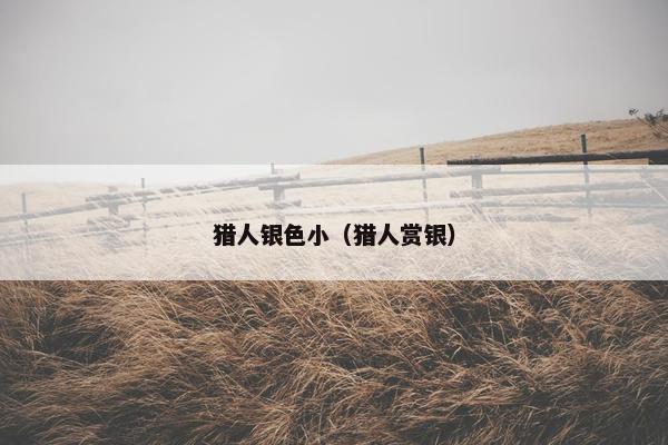猎人银色小（猎人赏银）