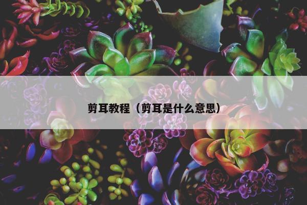剪耳教程（剪耳是什么意思）