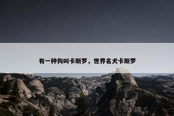 有一种狗叫卡斯罗，世界名犬卡斯罗