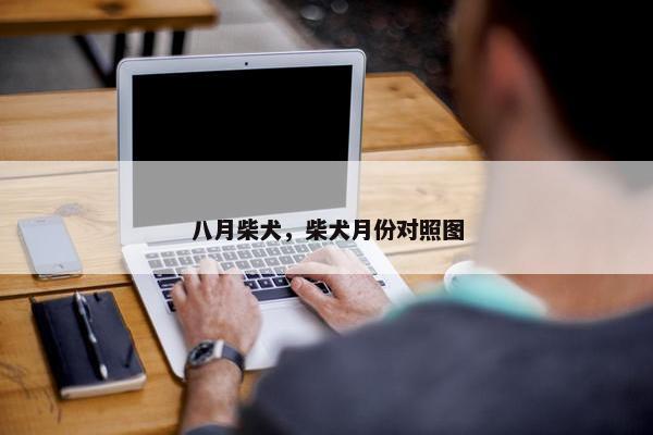 八月柴犬，柴犬月份对照图