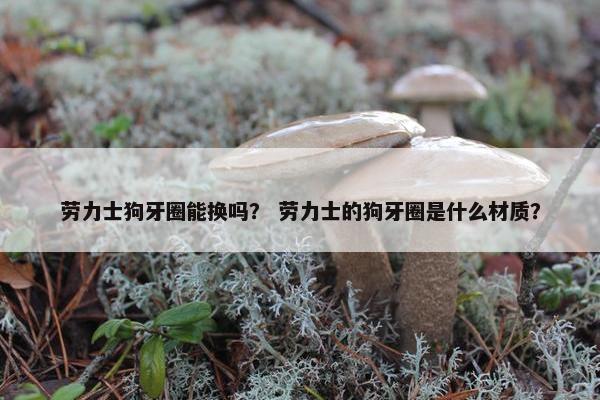 劳力士狗牙圈能换吗？ 劳力士的狗牙圈是什么材质？