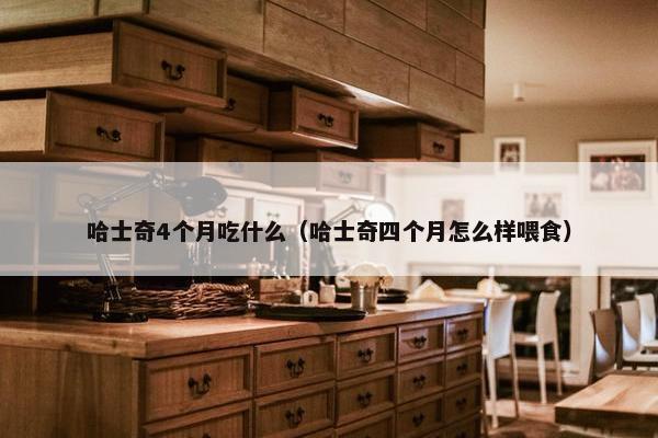 哈士奇4个月吃什么（哈士奇四个月怎么样喂食）